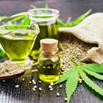 Best Cannabidiol For Your Canine Friends 