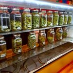 Rise of craft cannabis- artisanal products at your local weed shop